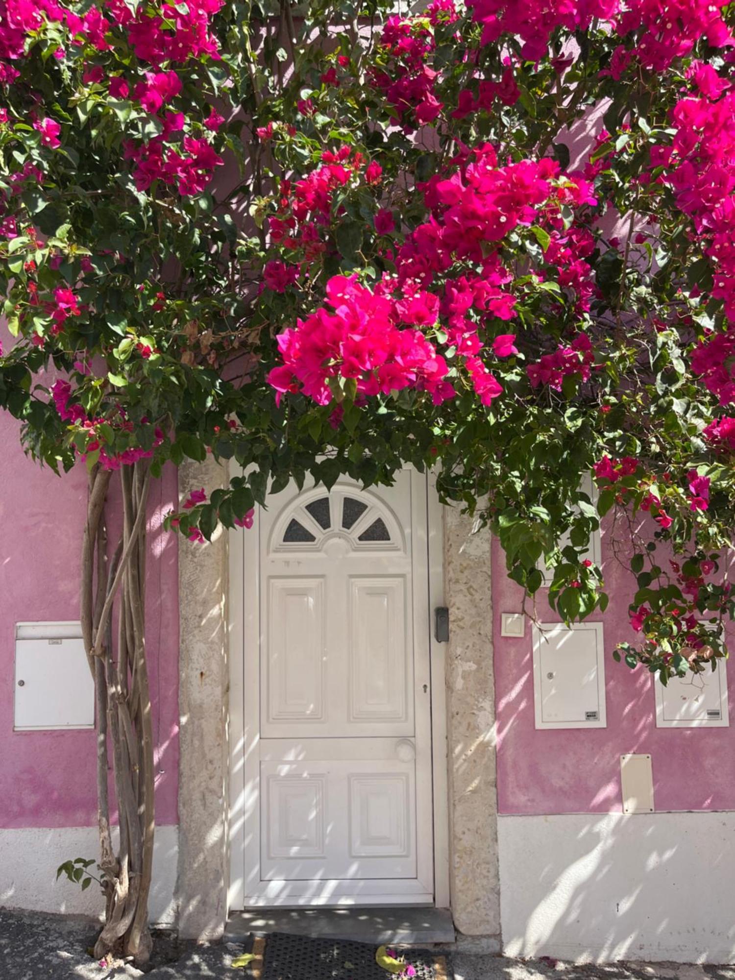 Casa Cor De Rosa Apartman Lisboa Kültér fotó