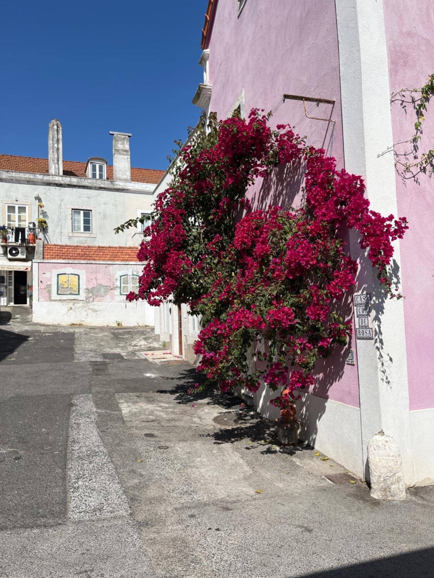 Casa Cor De Rosa Apartman Lisboa Kültér fotó