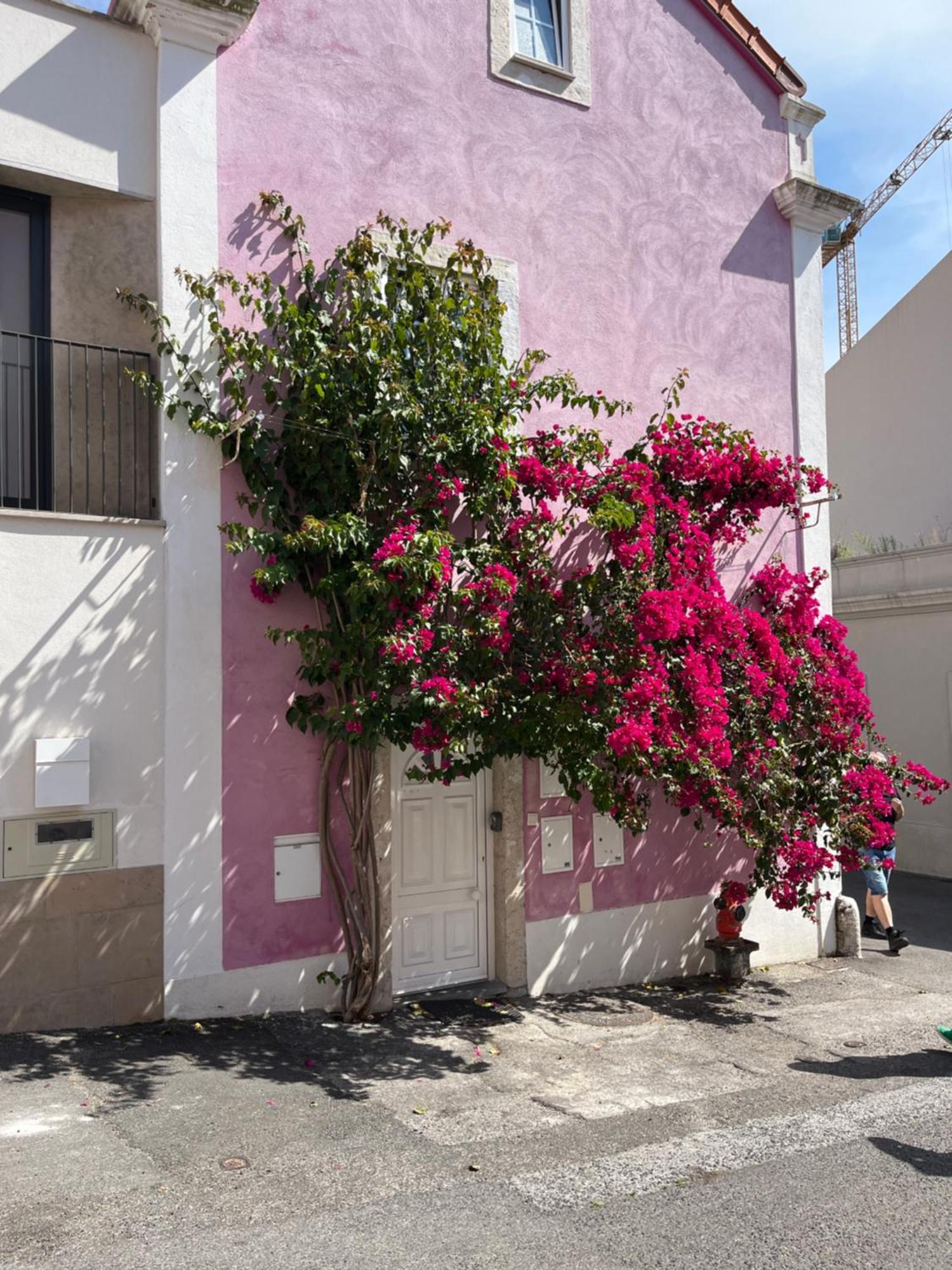 Casa Cor De Rosa Apartman Lisboa Kültér fotó